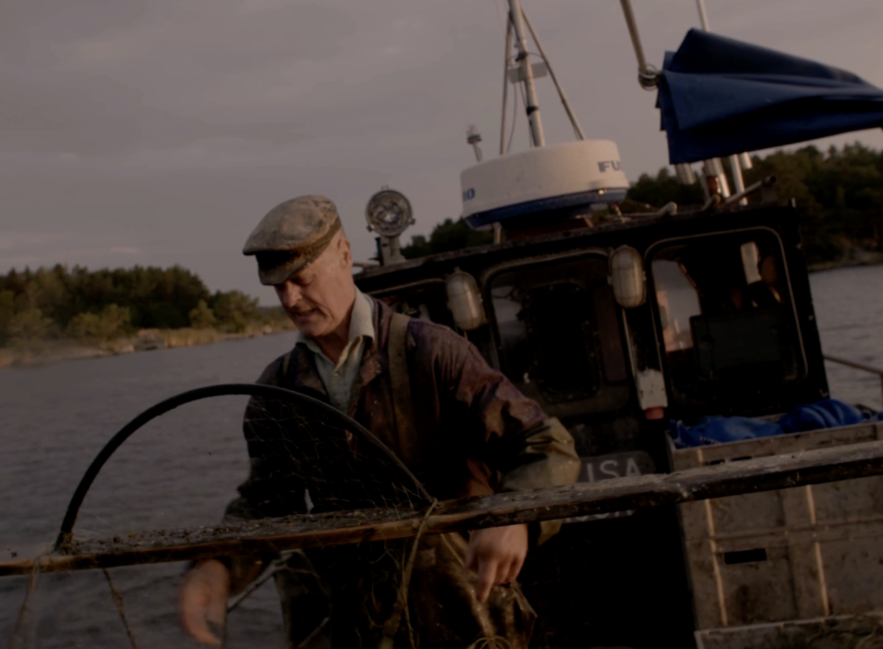 The last fisherman – an imaginative survivor