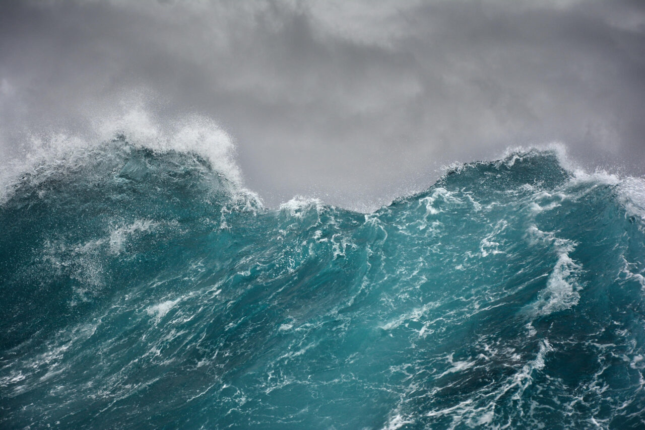 Researchers in petition: changing our relationship with the sea