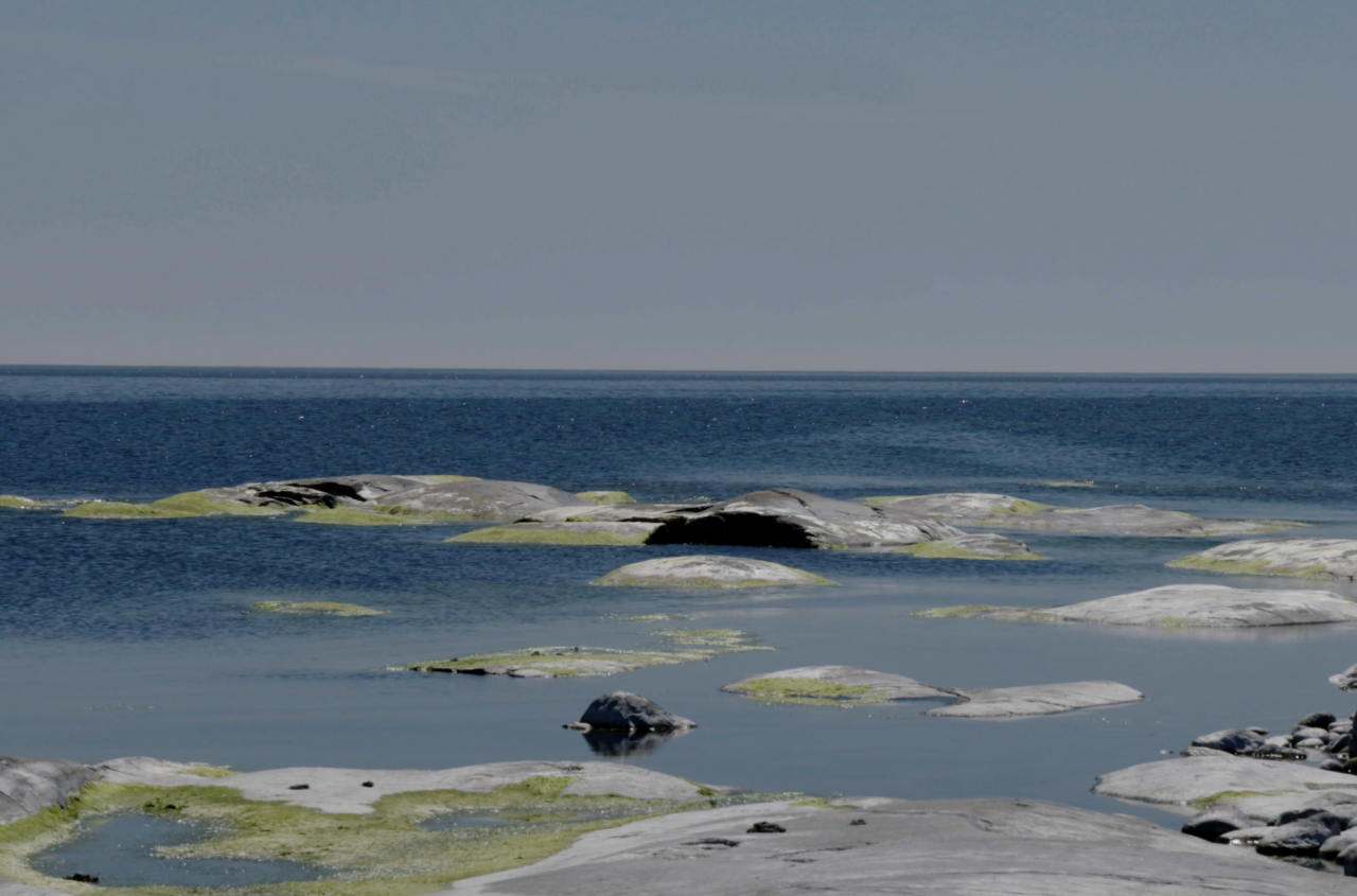 Östersjön kan återhämta sig – trots klimatkris och ökad bottendöd
