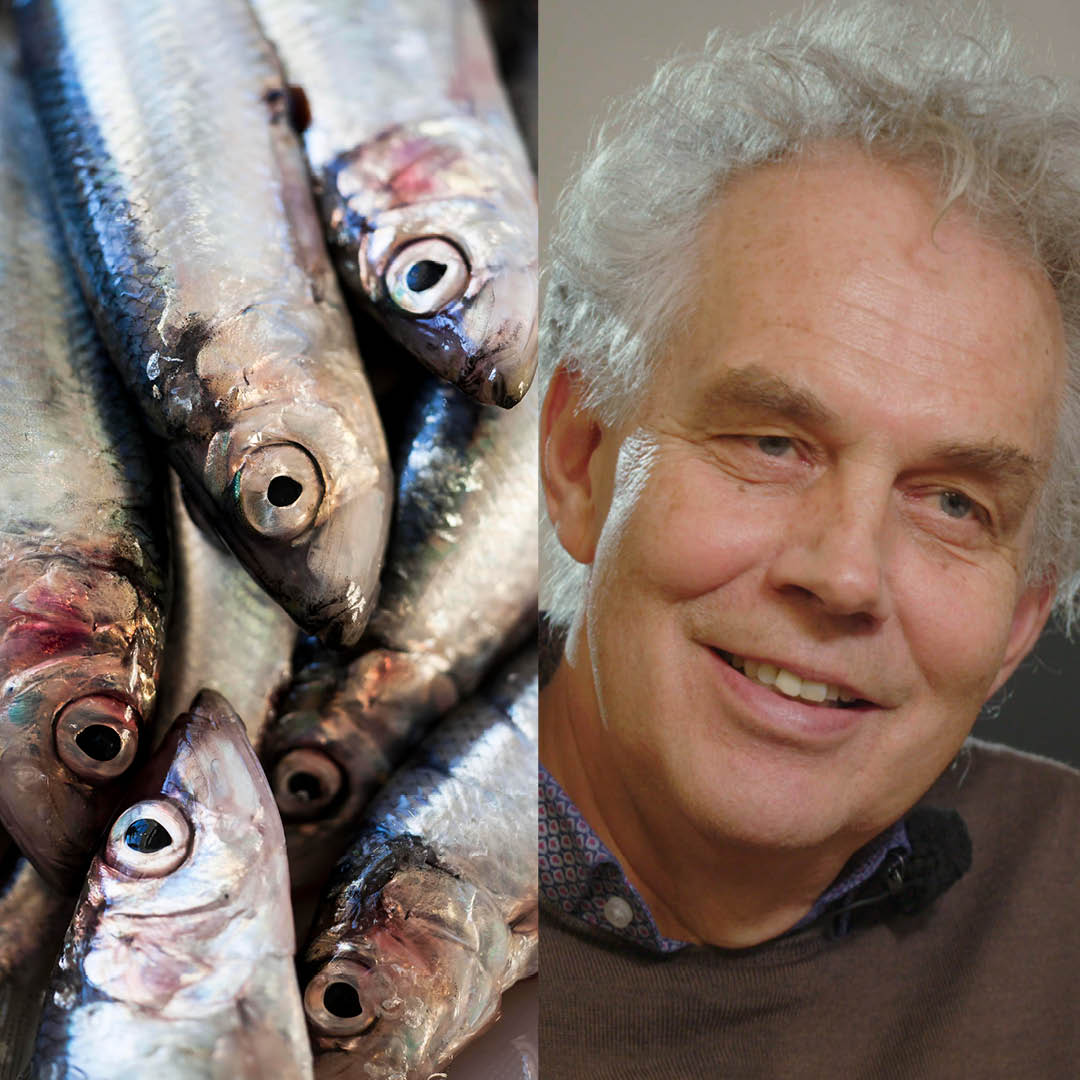 New report maps archipelago fishing since the Viking Age