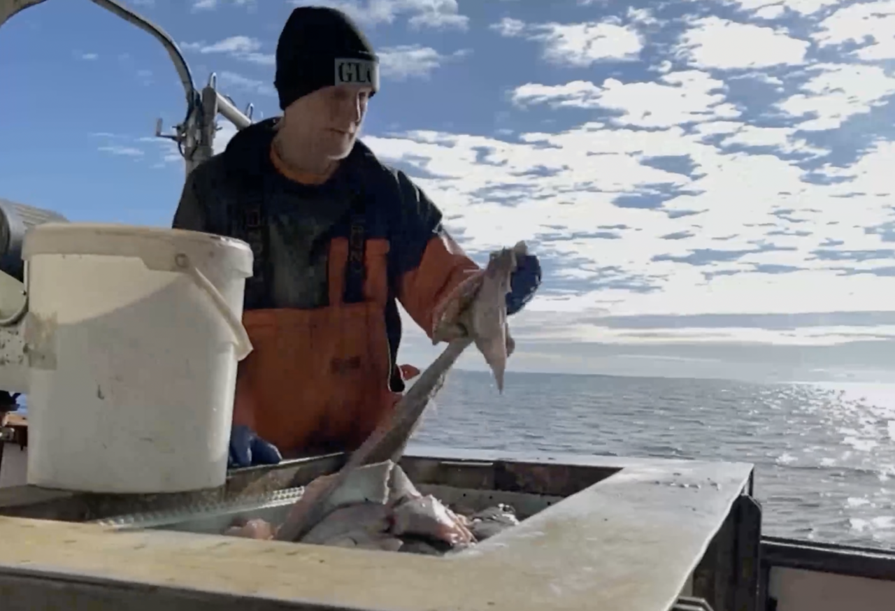 “Hard to take a fisherman from the harbor” – meet the fishing family in Läjet