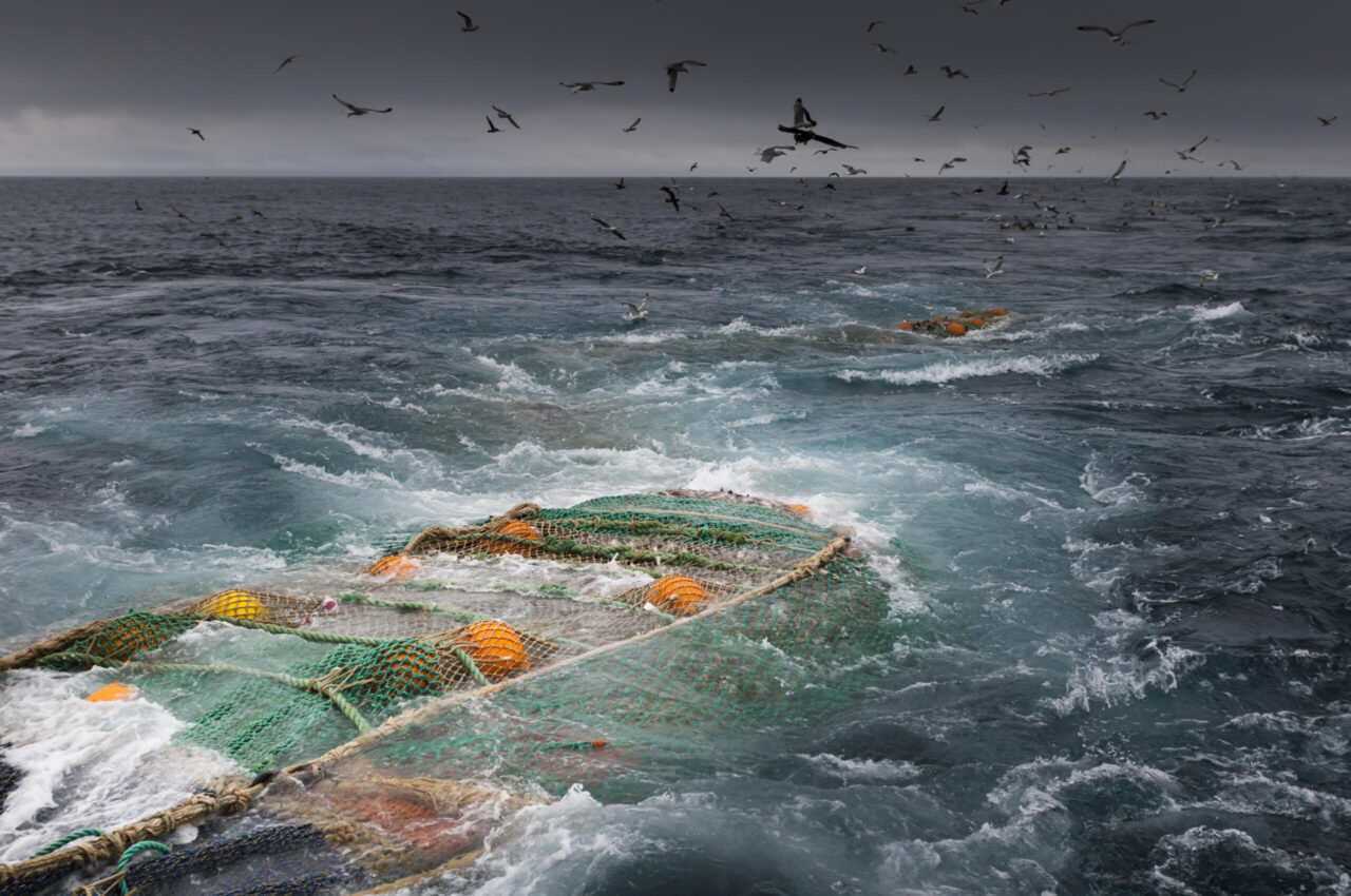 Now the trawl limit will be moved out