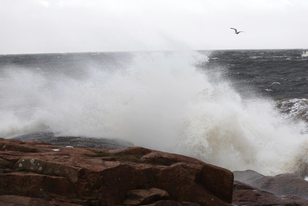 Waves on the ocean throw back environmental toxins