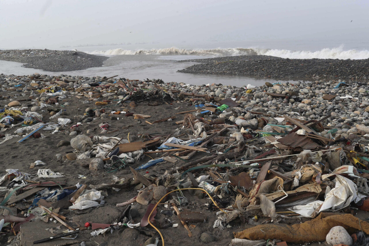 Lots of life in the ocean’s landfill