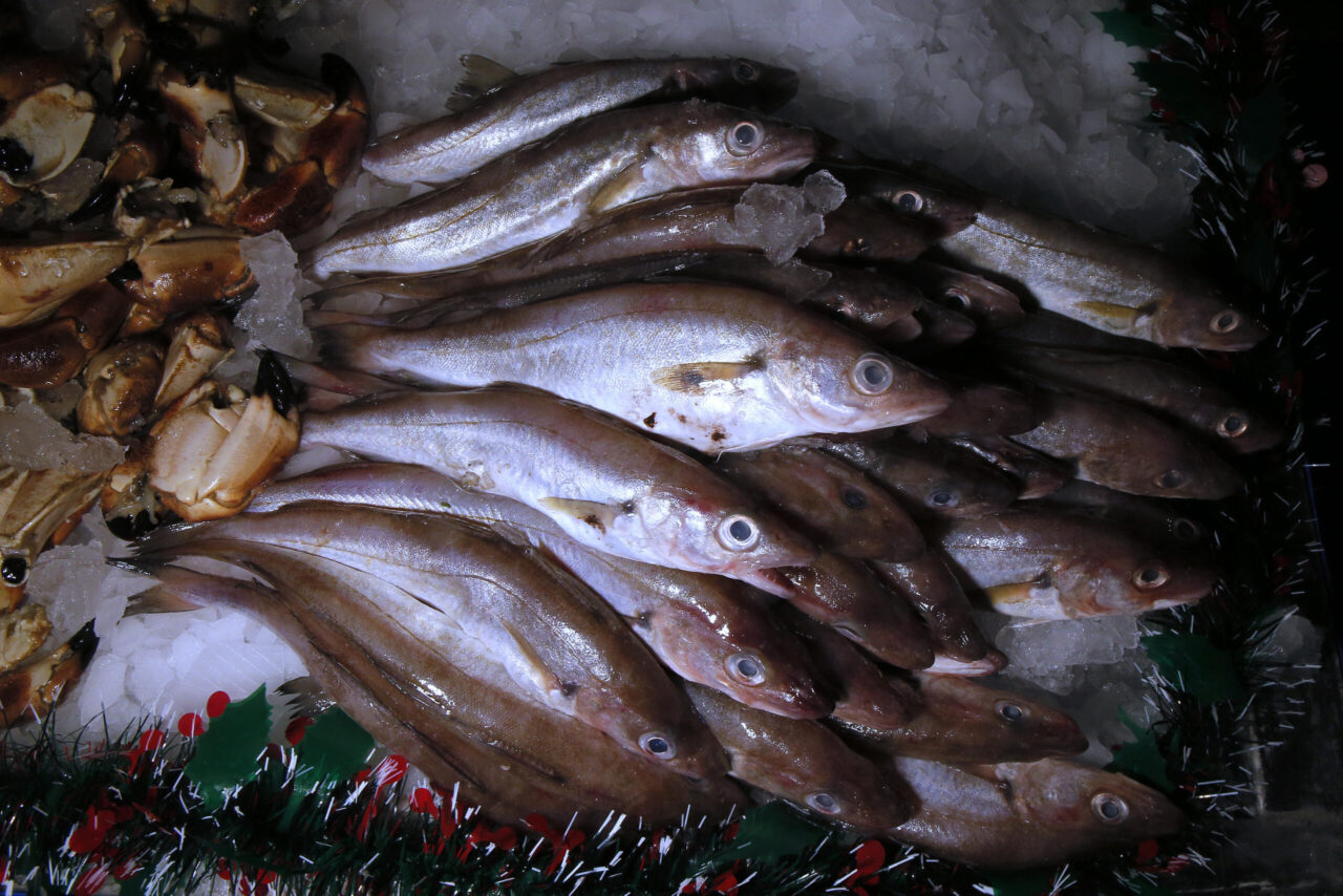 EU and UK agree on fishing quotas