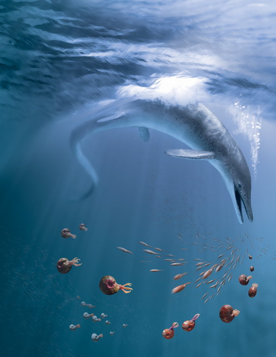Prehistoric ocean giant discovered in the U.S.