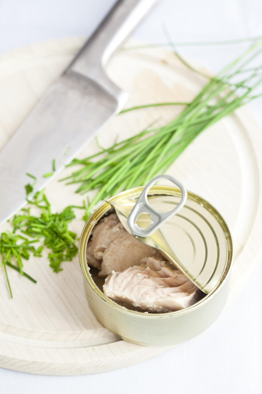 Fake fish – better for the sea than for health?