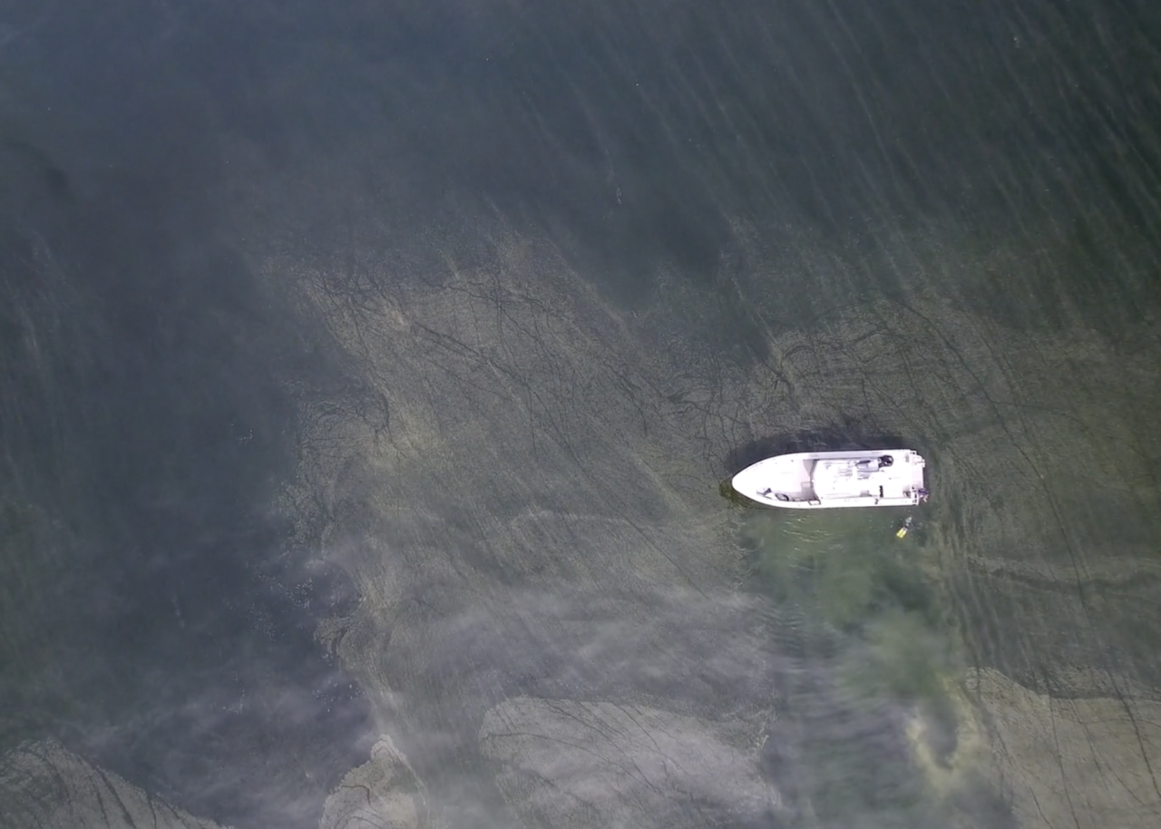 Measures to save the Baltic Sea are not working