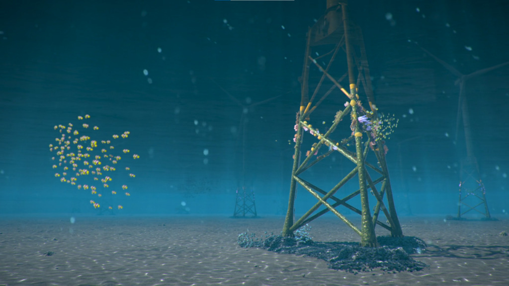 Offshore wind turbines become havens for corals