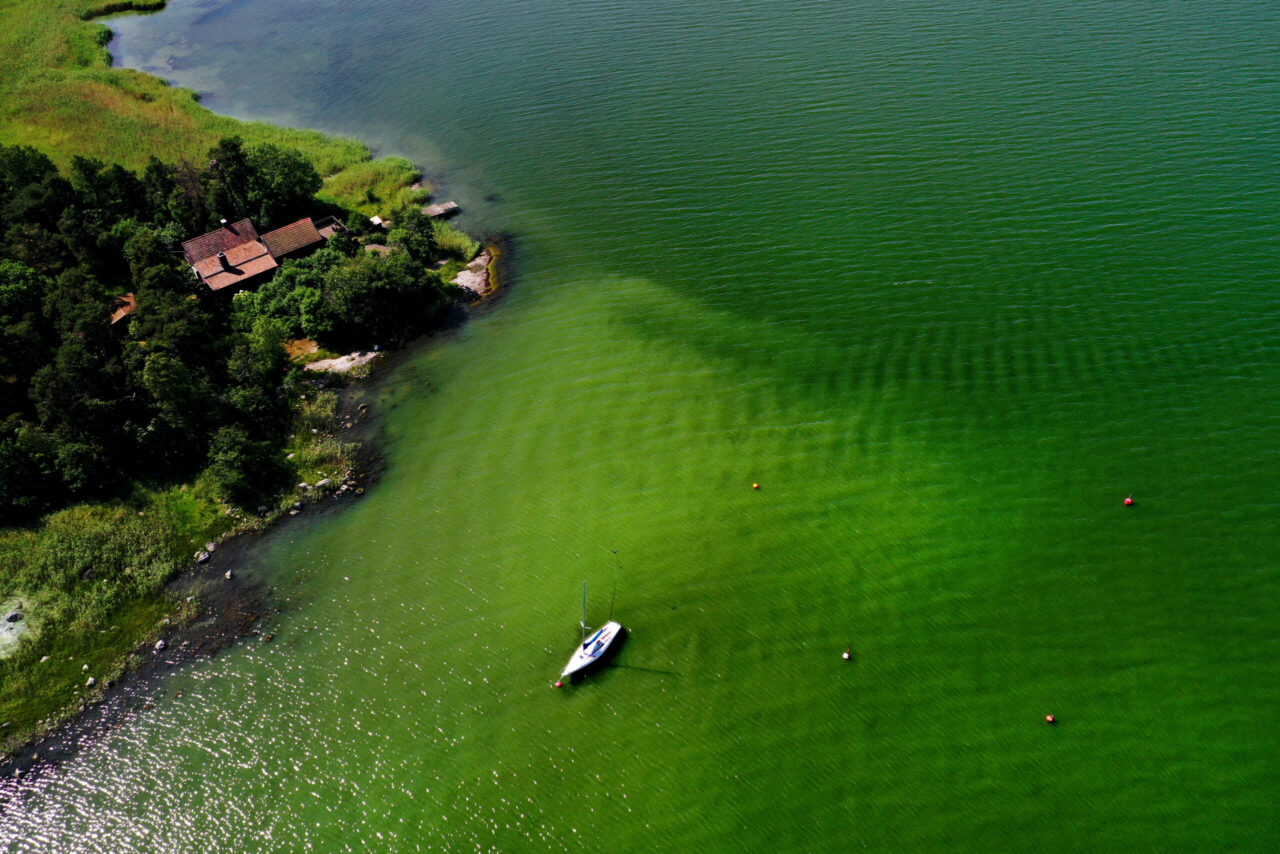 C wants to reduce eutrophication of the Baltic Sea