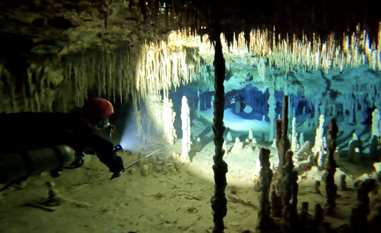 My best dive memory – Dive with Filippa Ek