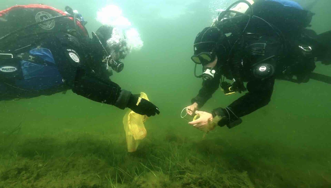 IN A WARMER SEA: species die
