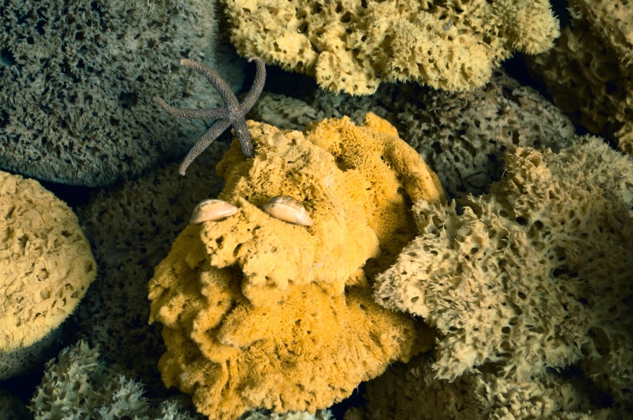 Look after your sponges!