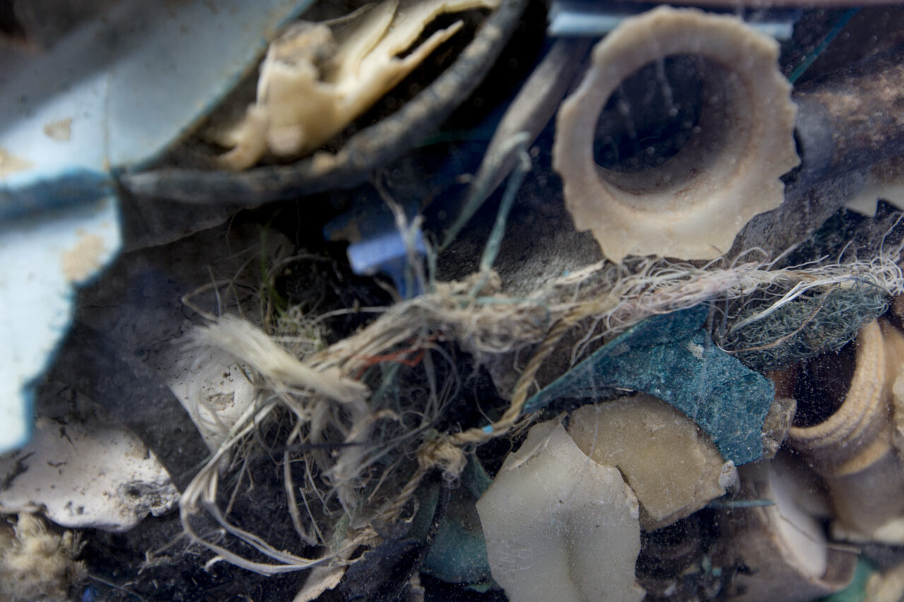 Huge, floating garbage island has created new ecosystem