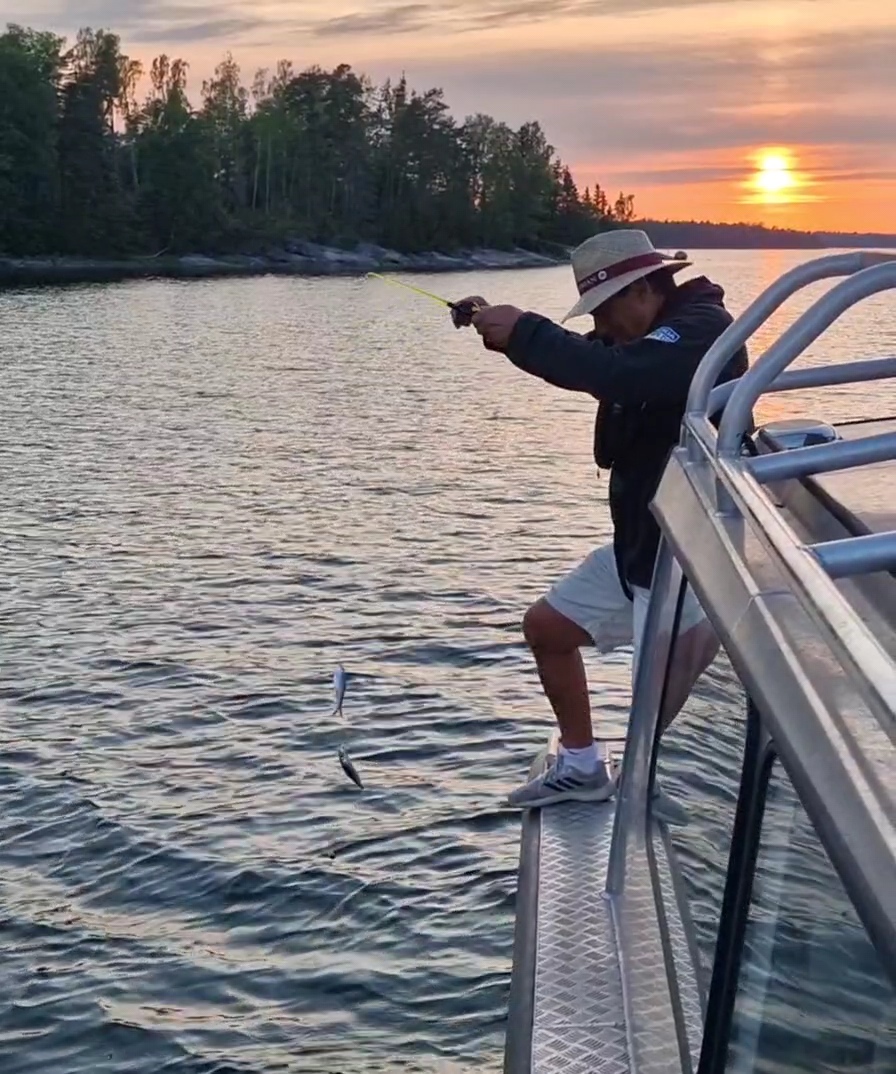 Who Has Taken Folke’s Fish?
