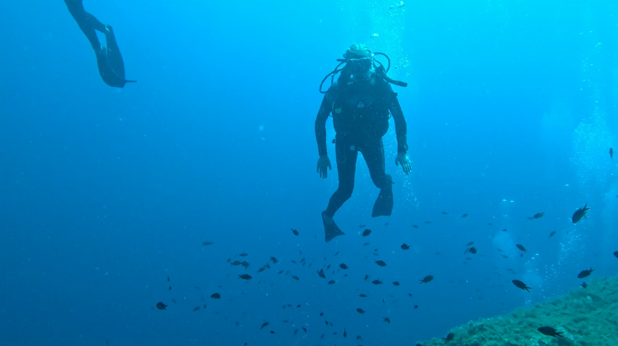 Medes Islands, A Living Proof of Ocean Resilience