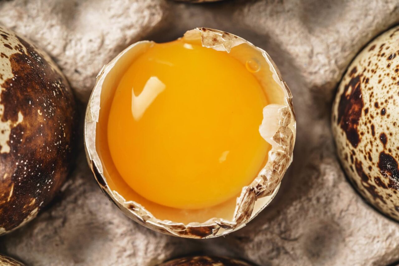 Organic Eggs – a cocktail of toxins from the sea