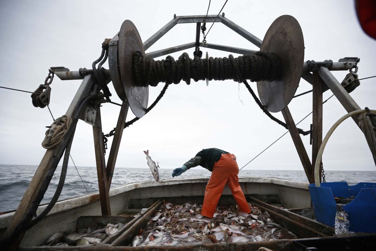 Trålgräns flyttad åt fel håll – fisk oskyddad