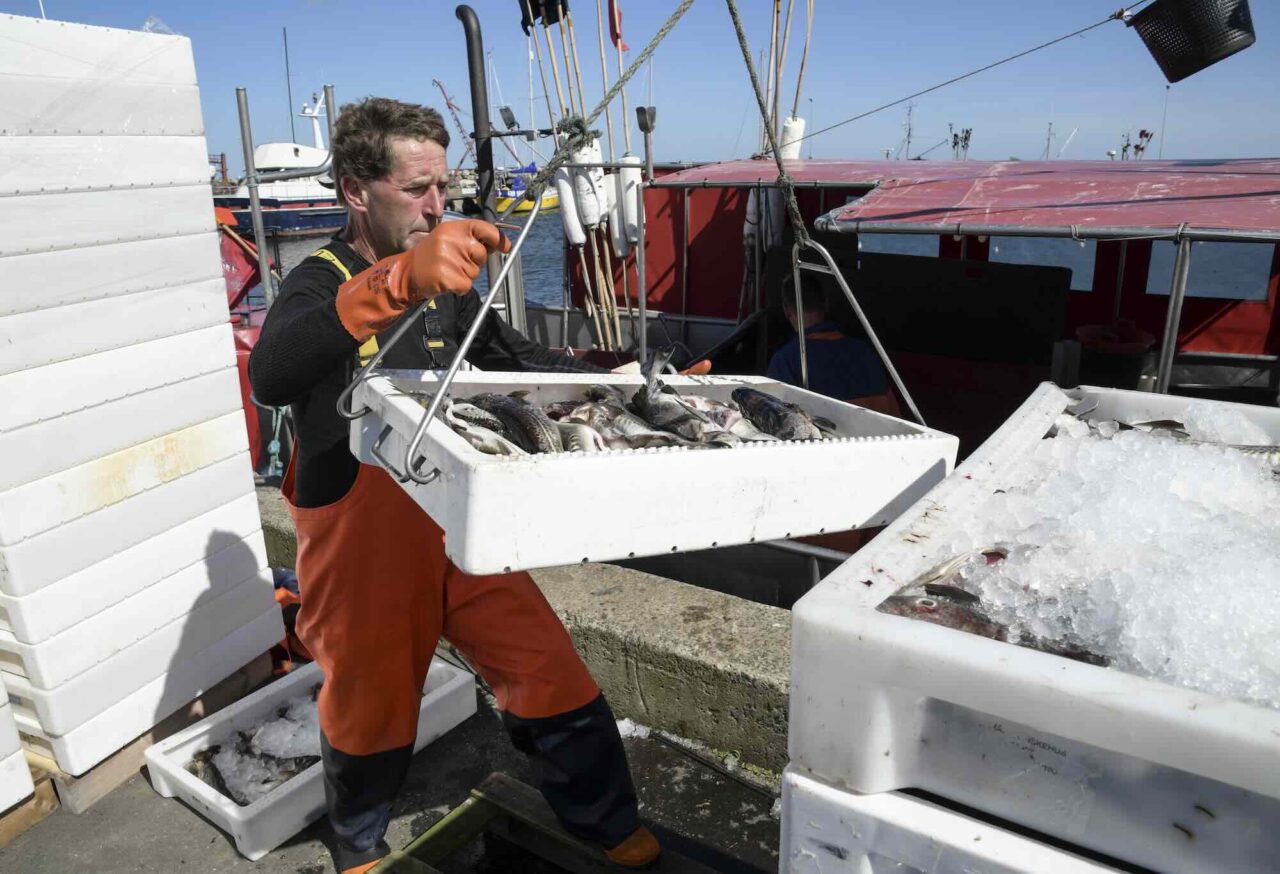 Fiskeilska mot Ryssland – och Norge