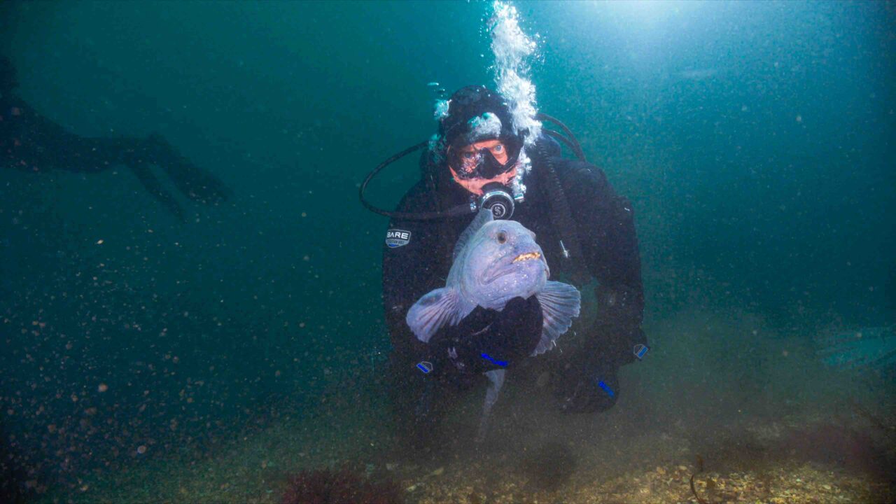 Kompis med en fisk