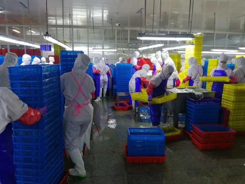 Crimes at the border – The North Koreans Behind Global Seafood