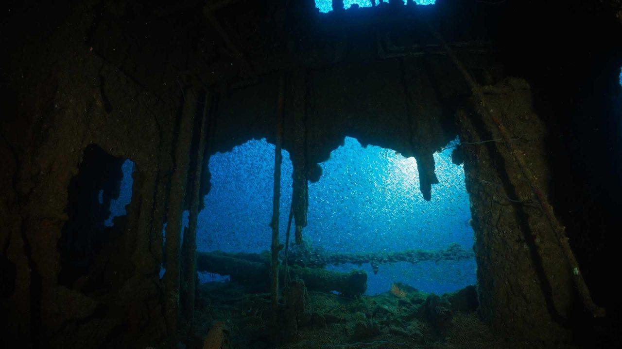 Life in the Shadow of an Atomic Bomb