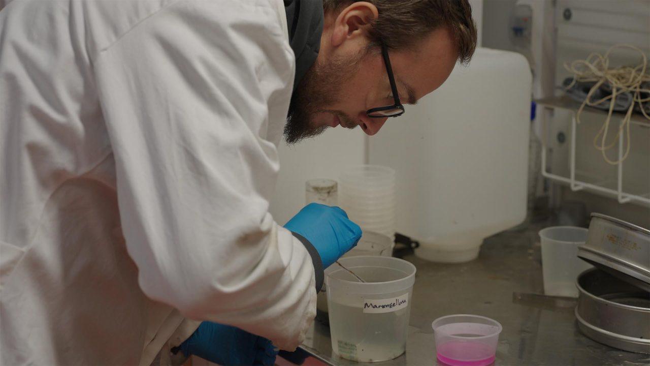 How is the Seabed Affected by Large-Scale Mineral Extraction  – Researchers Investigate
