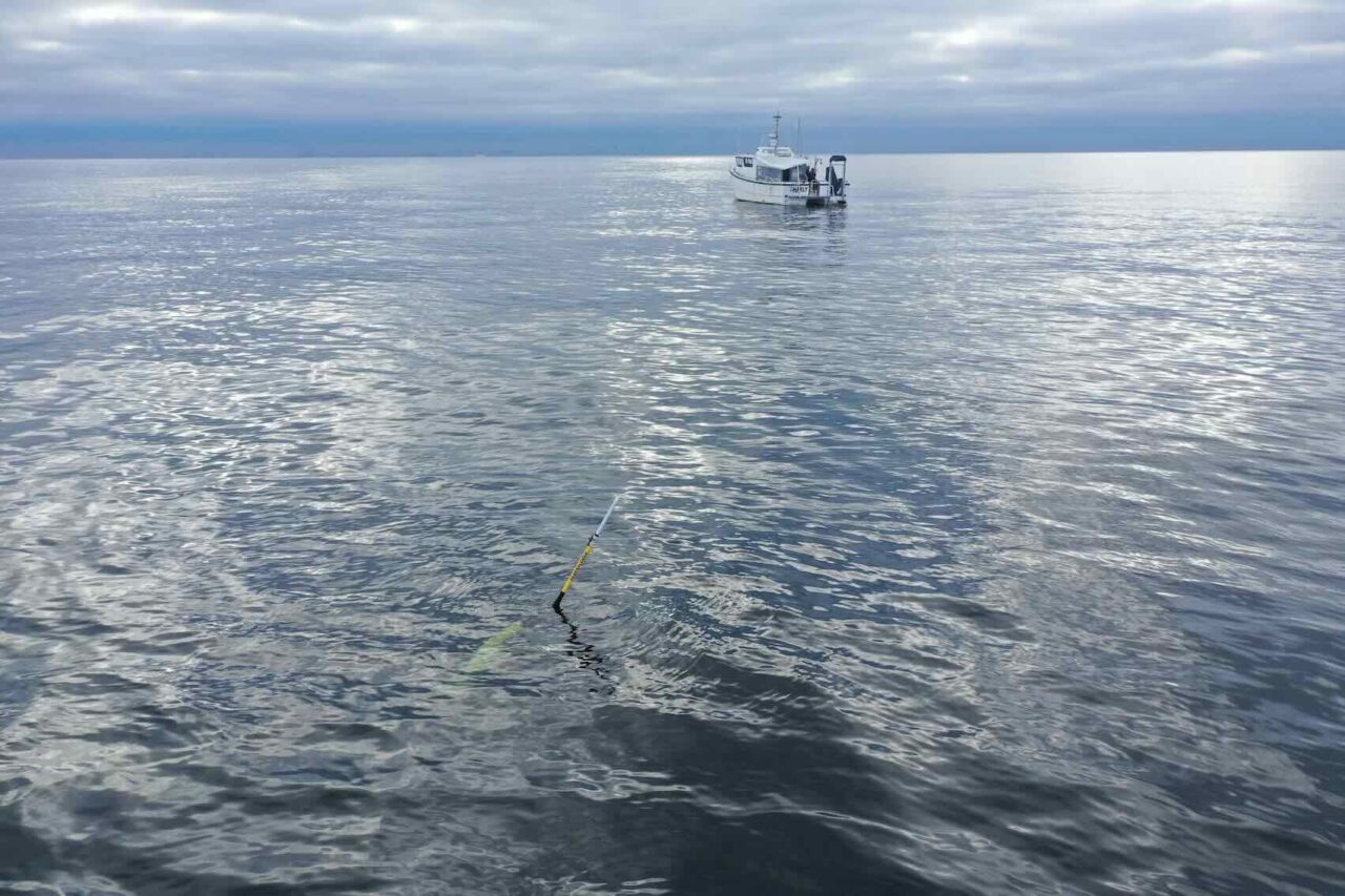 Tjugotal marina skyddsområden drabbade av Nord Stream-läckan
